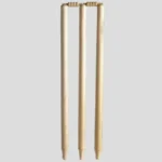 Wooden Cricket Wicket Stump for Match or Practice